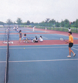 テニスコート　写真